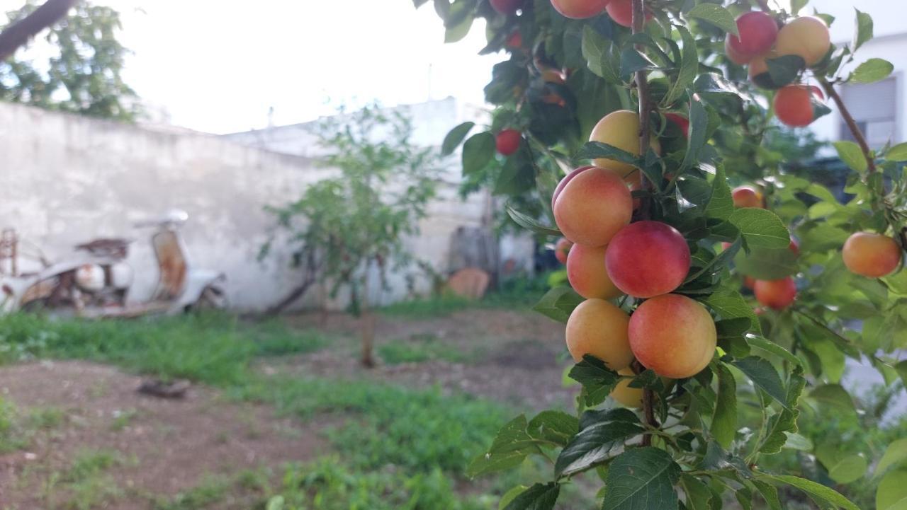 Jonia Appartamento Vacanze Vicino Al Mare Con Giardino Пулзано Екстериор снимка